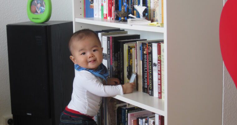 爸爸的图书管理员 （bb plays librarian)