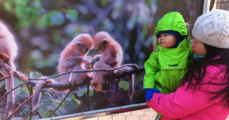 贝贝畅游北京与三亚 (beibei tour Beijing and Sanya), 北京篇