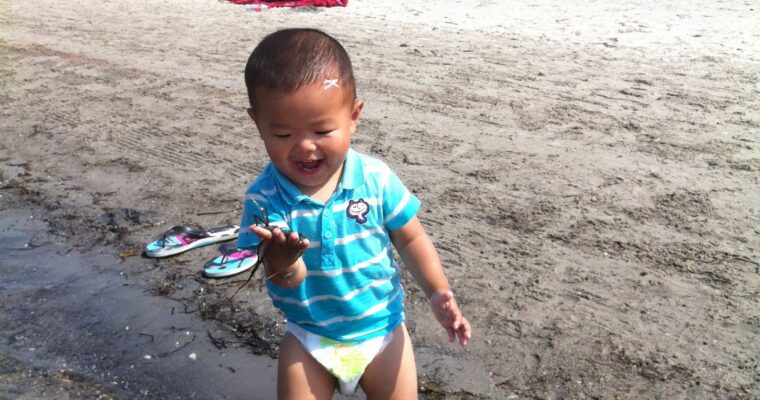 在马尔默的海滩， at the Malmö beach