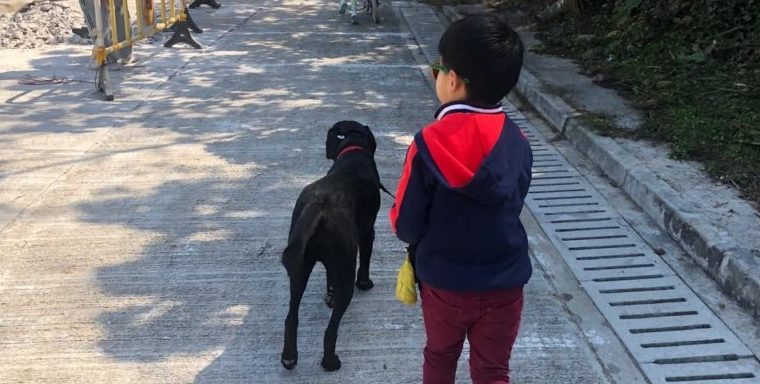 First time walking dog…